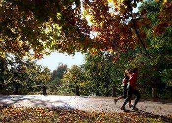 runners in the park