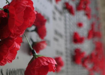 poppies on a war memorial