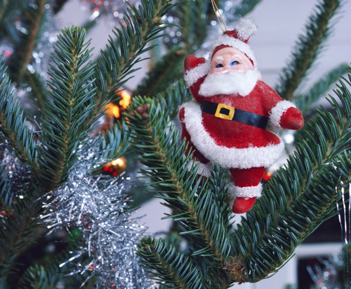 Santa Claus ornament hanging of tree.