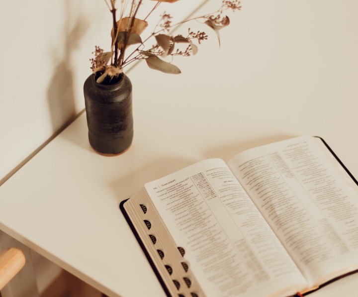 Photo of a Bible on a white table with a dark colored vase next to it. There are dried flowers and sprigs in the vase.