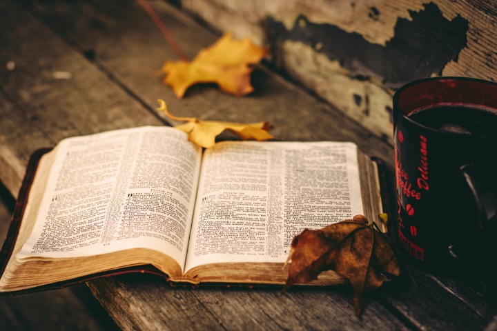 A bible sitting amongst the autumn leaves