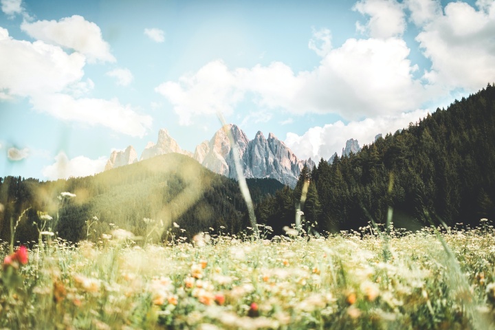 Photo of meadow with mountains in background.