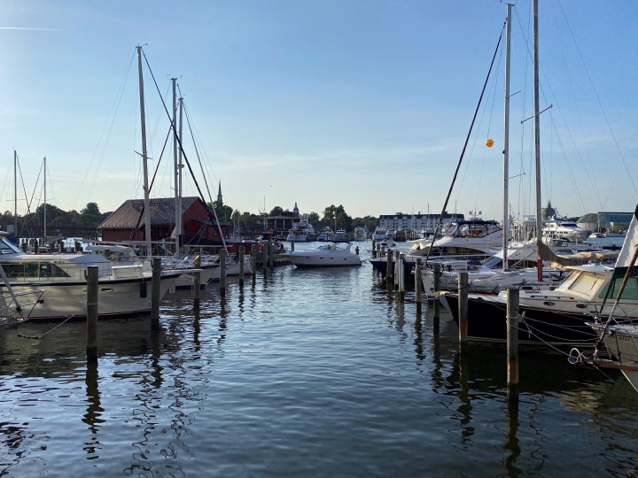 Photo of the harbor in Annapolis, Maryland.