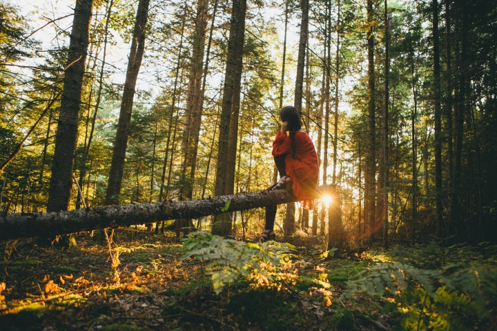 Photo of girl sitting on a fallen tree in the forest as the sun shines through the trees.