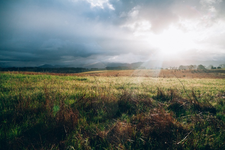 Sunrays on a field.