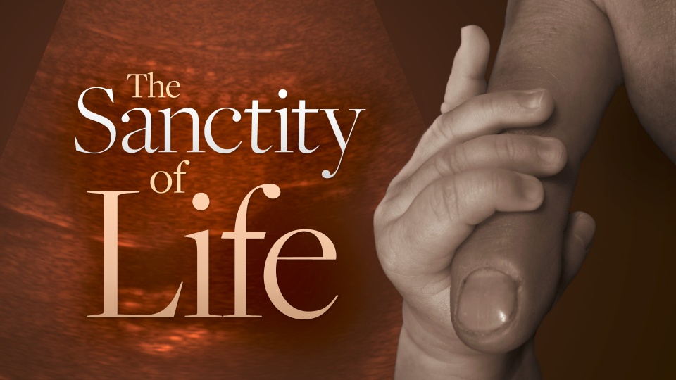 Sanctity Of Life United Church Of God