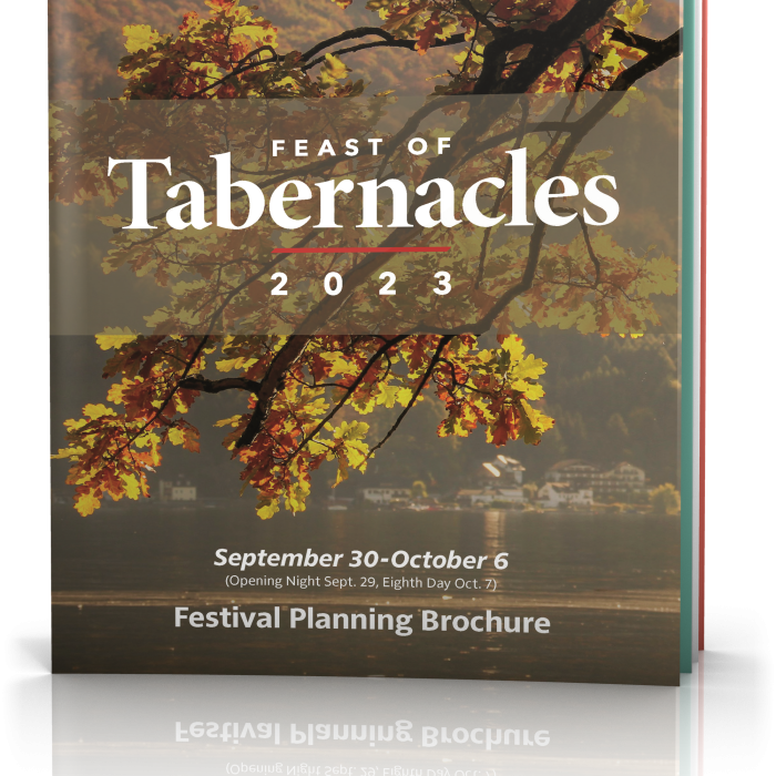 2023 Festival Planning Brochure