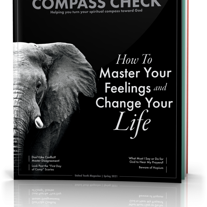 Tilted cover image of Compass Check Spring 2021 issue