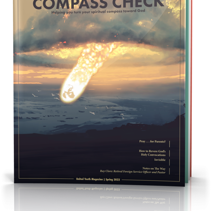 Compass Check Volume 8 Issue 4 Spring 2023 cover