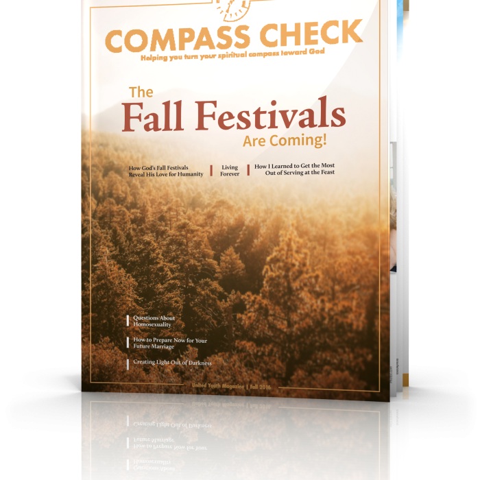 Fall Compass Check