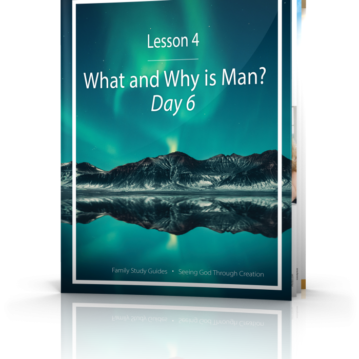 Seeing God Through Creation: What and Why is Man? Day 6