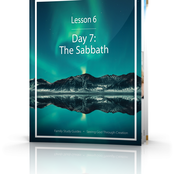 Seeing God Through Creation: Day 7: The Sabbath