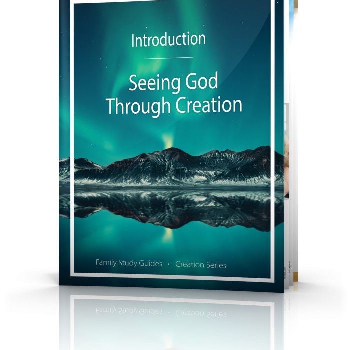 Seeing God Through Creation: Introduction