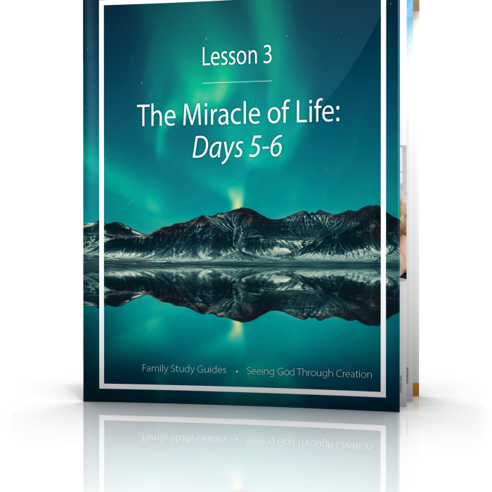 Seeing God Through Creation: The Miracle of Life, Days 5-6