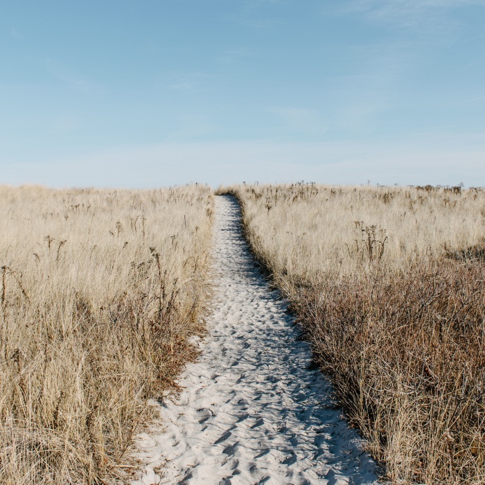 A sandy path.