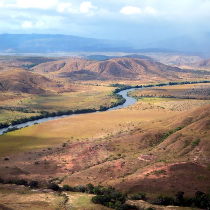 Brazil Guyana Border