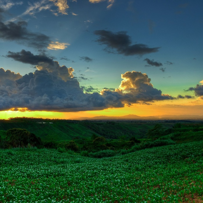 Bukidnon