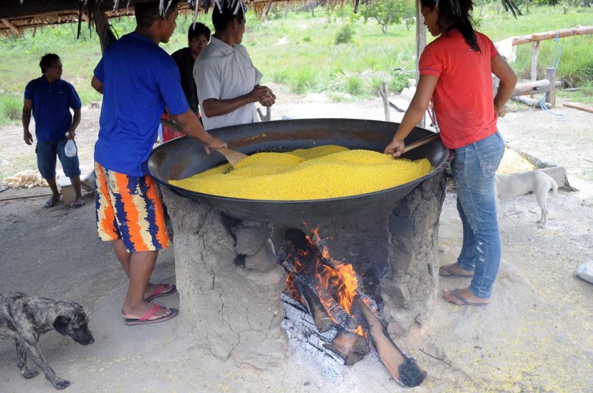 Heating processed cassava to dry it is a major step in marketing the crop