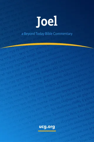 Joel Bible Commentary