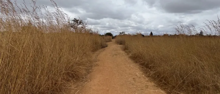 Zimbabwe Drought Relief