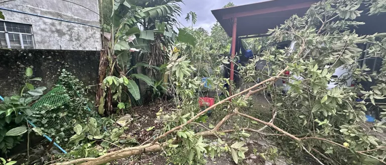 Typhoon Tino Damage