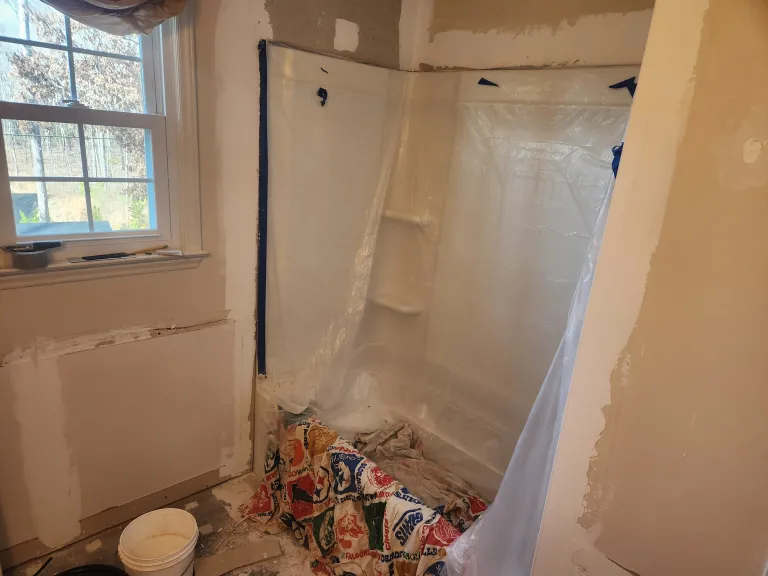 Current bathroom remodel