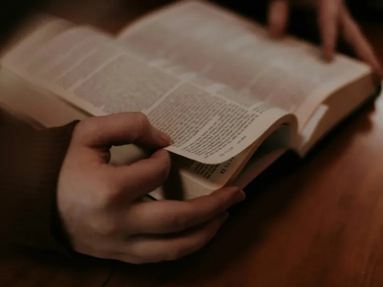 a pair of hands holding an open Bible