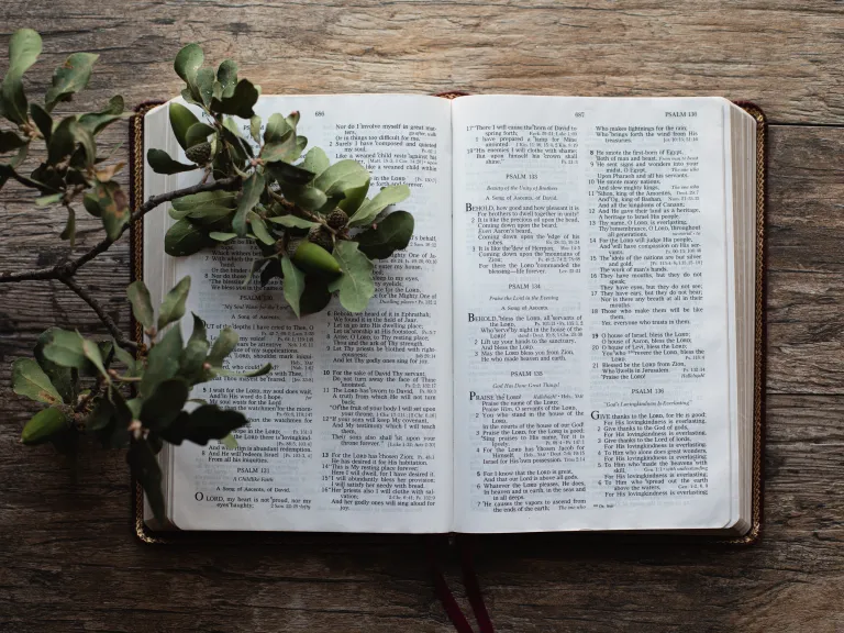 The solution to our problems is found in the Bible. an open Bible with leaves on a wooden table