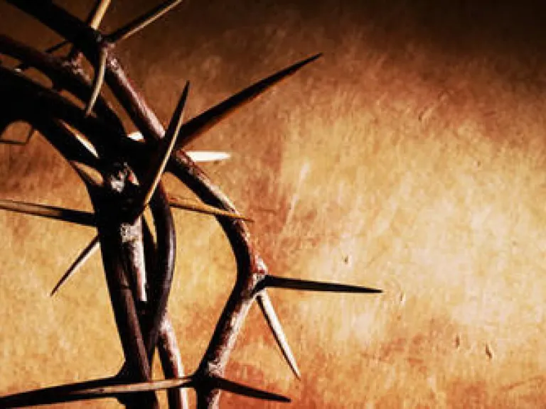 a crown of thorns