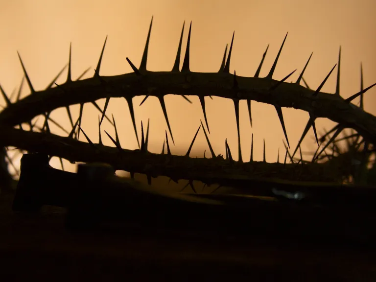 a crown of thorns