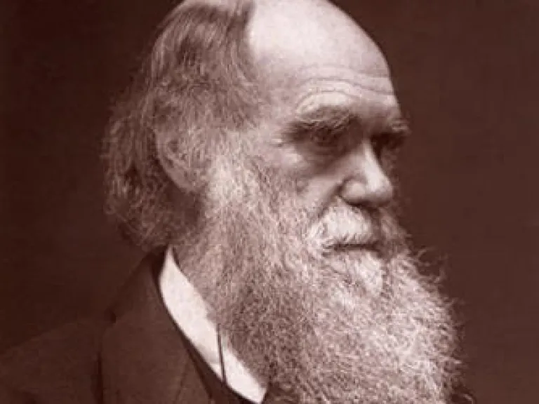 10 Ways Darwin Got It Wrong Charles Darwin