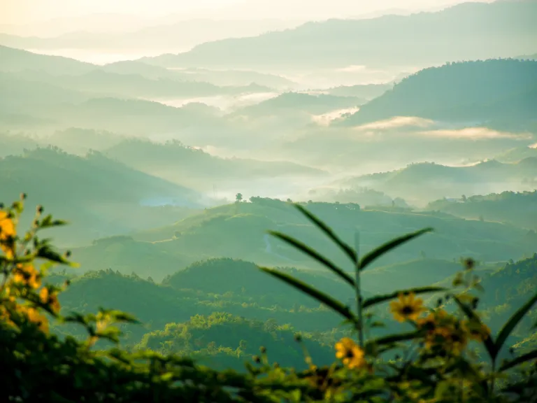 Do we recognize that God saw us as "fertile ground" for His Holy Spirit? a green landscape of rolling hills with a few yellow flowers in the foreground