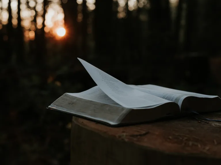 Proverbs 12:17 states: "He who speaks truth declares righteousness." a open Bible against a dark outdoor background