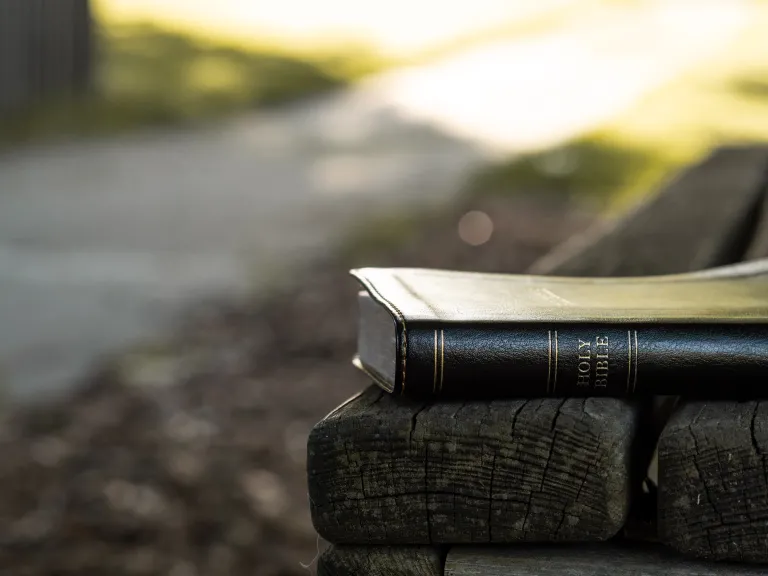 Although the Bible does not enable us to calculate the time of the end, it nonetheless provides the discerning reader with an invaluable insight into when the general season begins. A Bible laying on a park bench.