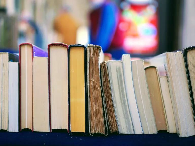 These books present a persuasive and compelling case that the theory of evolution is fundamentally and fatally flawed. A stack of books.