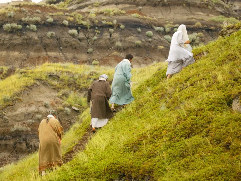 Several of Jesus Christ’s apostles were His cousins; later His half brothers James and Judas wrote epistles that bear their names and became part of the New Testament. People walking up a hill.