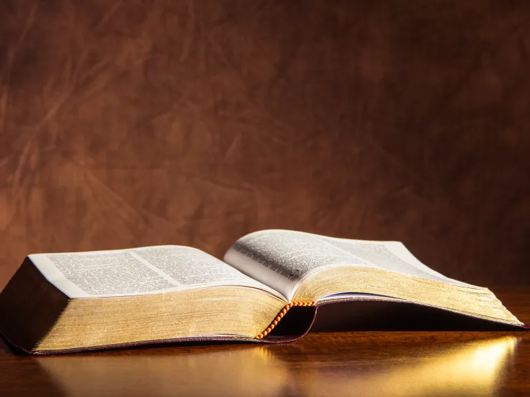 God's commandments that define sin are written in "the law"—but they don't make up the whole law. Paul used the term "the whole law" to make it clear that the law has within it symbolic aspects that should not be required of the gentiles. An open Bible laying on a table.