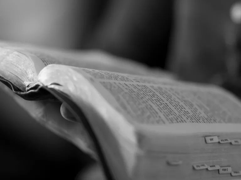 Open Bible
