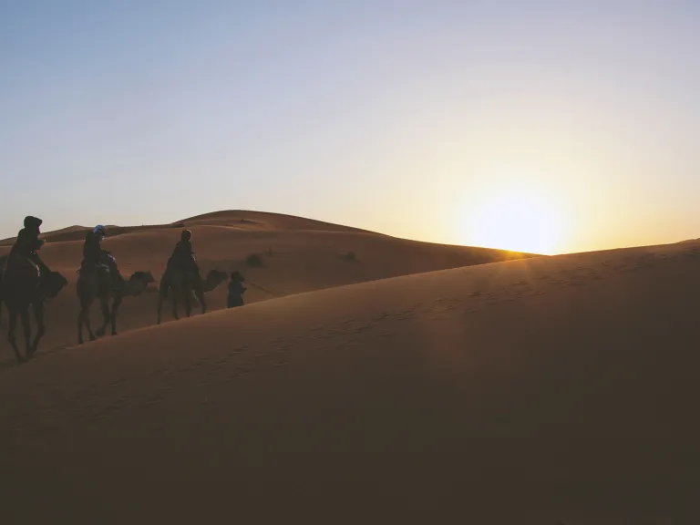 Are all Israelites Jews? No. Jews—the citizens and descendants of the kingdom of Judah—are indeed Israelites, but not all Israelites are Jews. People riding camels in the desert.