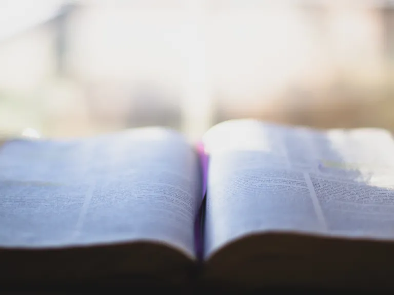 Grace is made possible by Christ’s sacrifice and by Him serving as our merciful Mediator, Advocate and High Priest. A open Bible in front of a window.