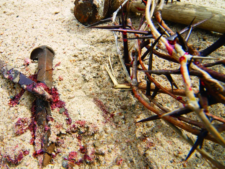 A crown of thorns, nails, hammer and post.