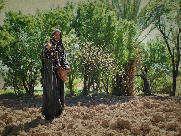 Jesus Christ’s parable about the sower and the seed reveals remarkable lessons about how people respond to the message of the Kingdom of God—lessons important to each of us! A photo illustration of a man throwing seed on the ground.