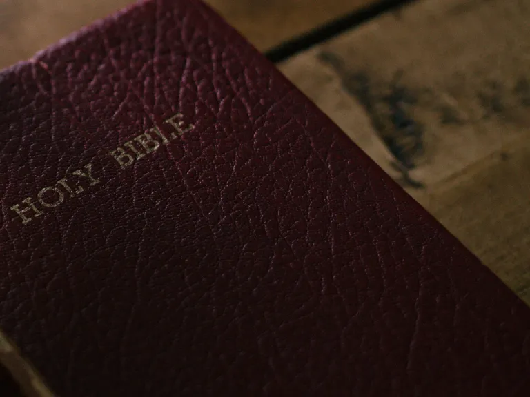 “Now it came to pass, when men began to multiply on the face of the earth, and daughters were born to them, that the sons of God saw the daughters of men, that they were beautiful; and they took wives for themselves of all whom they chose..." A Bible laying on a table.