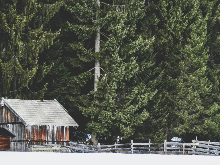 The “Shack” is the fictional site of the grisly murder of the main character’s youngest daughter, which tragedy haunts him and leaves him severely depressed. A old shack in a forest.