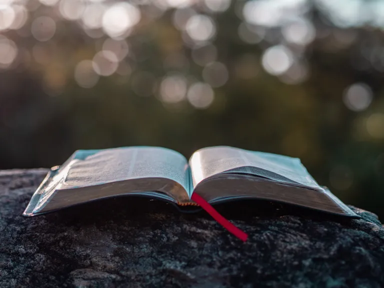 An open Bible laying on a rock.