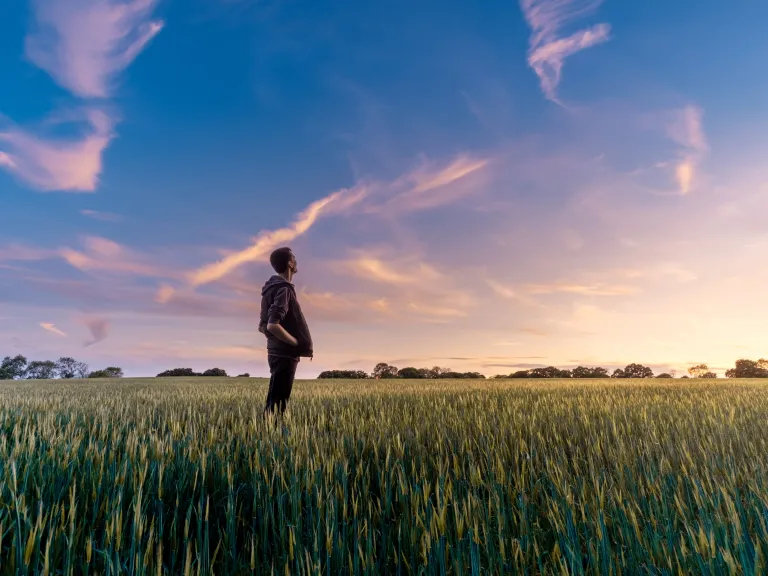 man in wheat field under gorgeous sunset gradient sky looking contemplatively upwards
