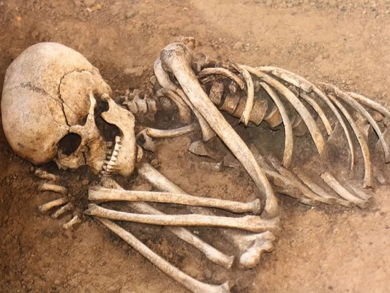 Much of God’s revelation to Ezekiel revolved around the distant decendants of Israel and crucial, end-time events centuries in the future. The remains of human bones in a dirt grave.
