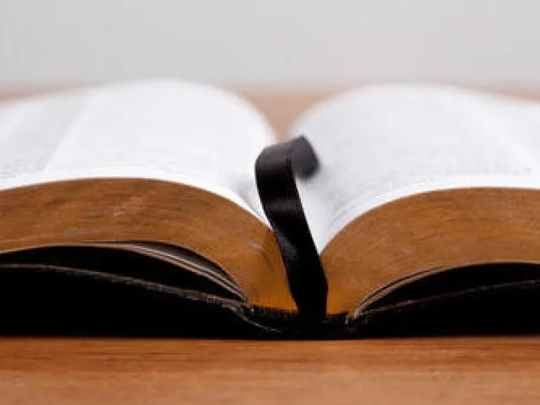 Life Lessons: Wisdom vs. Foolishness Life Lessons: Wisdom vs. Foolishness