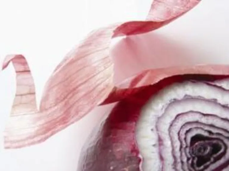 Onion skin