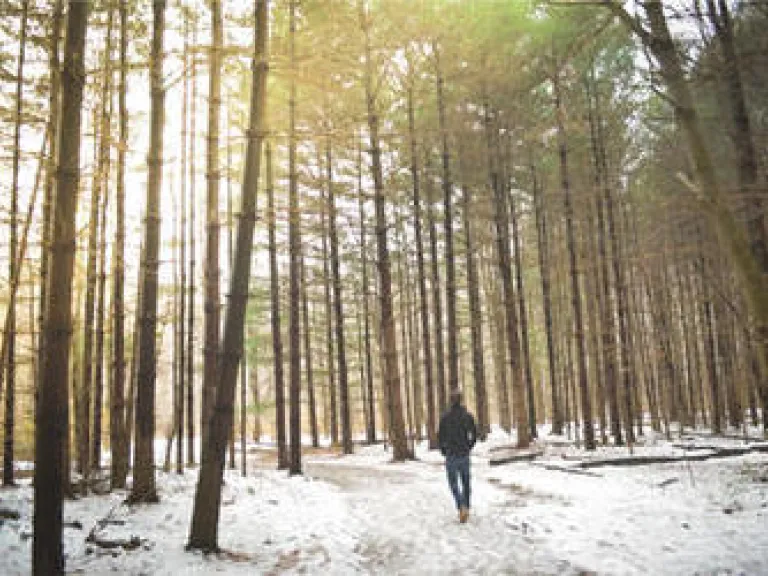 The Battle for the Bible, Part 3: God Answers the Critics Person walking through woods during the winter.